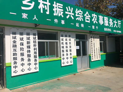 粒粒皆深情 青島麗斌合作社撬動鄉村振興新棋局