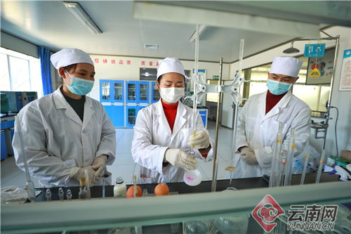 紅河州鉚足勁抓好復工復產